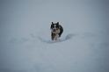DSC_0011 (2)